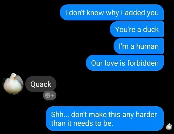 Screenshot of a weird internet conversation with a human and a duck exchanging funny messages.
