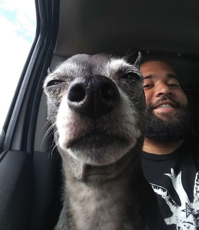 Unphotogenic dog with squinting eyes and close-up nose posing beside a smiling man inside a vehicle.