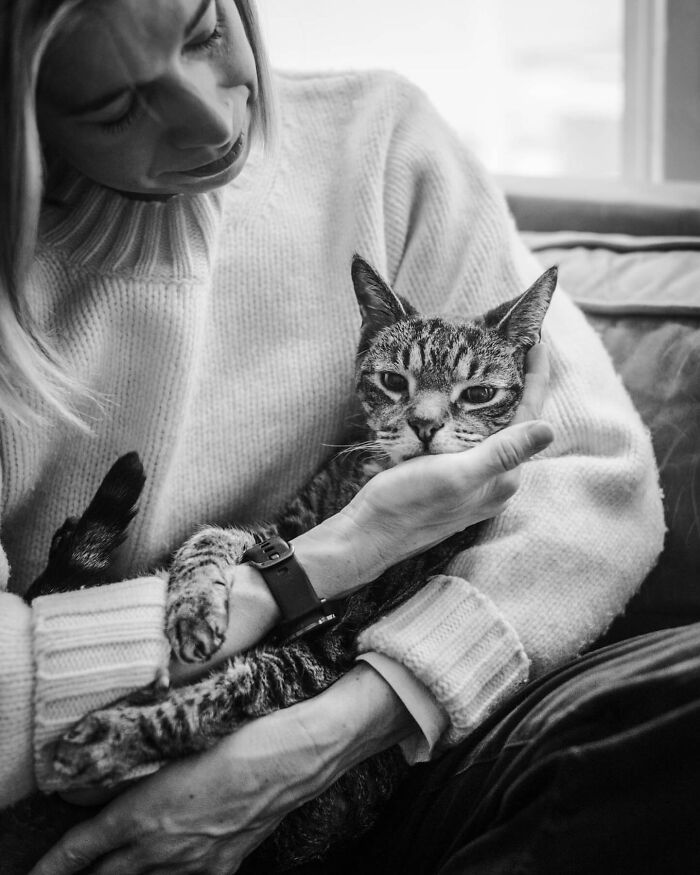 Woman in a sweater holding and comforting her cat, capturing touching final moments between pets and their humans.