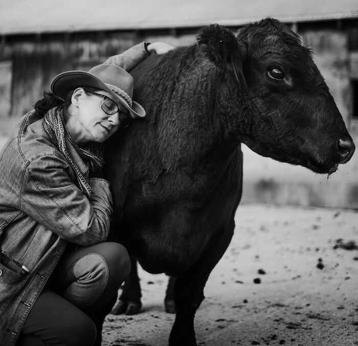 Woman wearing hat and glasses shares a tender moment with a large black cow, capturing final moments between pets and their humans.