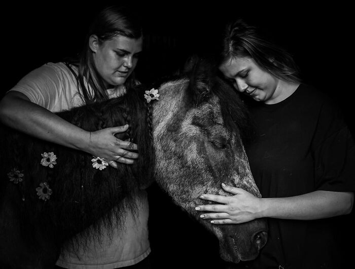 Two women gently comforting a horse in a touching photo capturing final moments between pets and their humans.