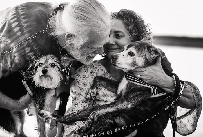 Elderly couple sharing a tender moment with their dogs, capturing final moments between pets and their humans.