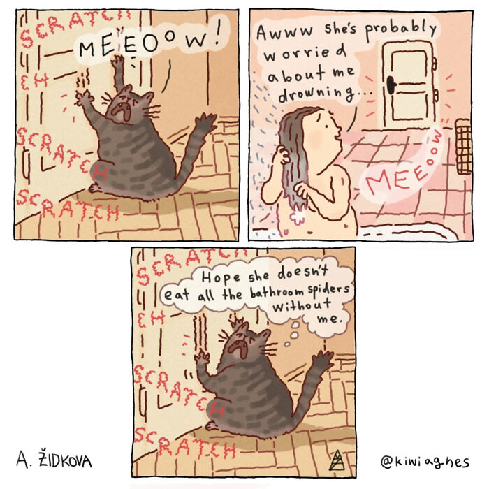 Comic depicting a funny and unexpected scene with a cat and a woman, illustrating humor and relatable pet behavior.