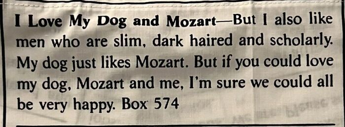 Personal ad expressing love for dog and Mozart, seeking slim dark-haired scholarly men for romance connection.