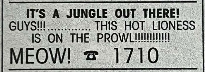 Vintage personals ad reading It’s a jungle out there, hot lioness on the prowl with phone number, highlighting old romance ads.