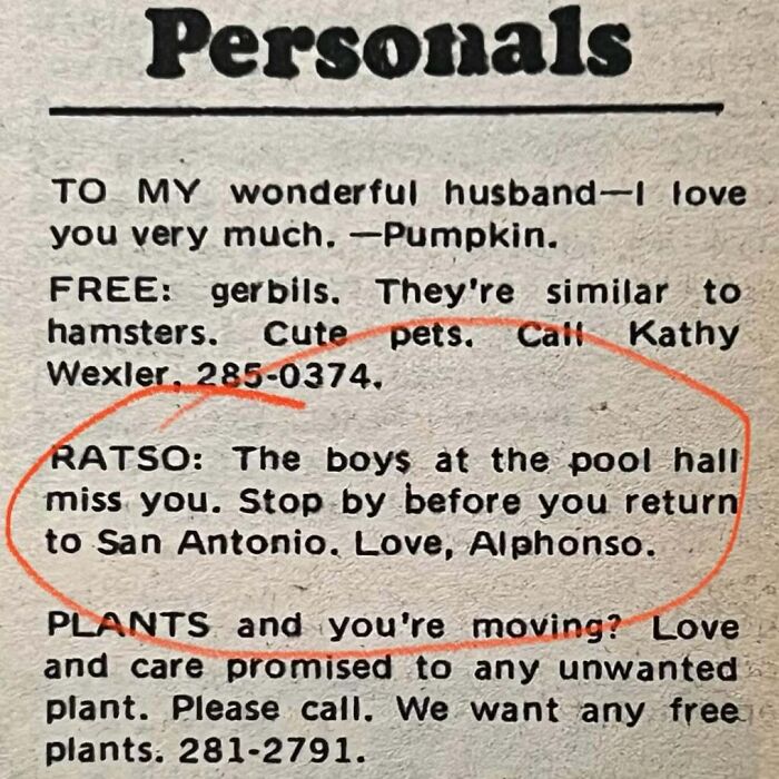 Vintage personals ad featuring heartfelt messages and free pet gerbils, illustrating classic romance and connection themes.
