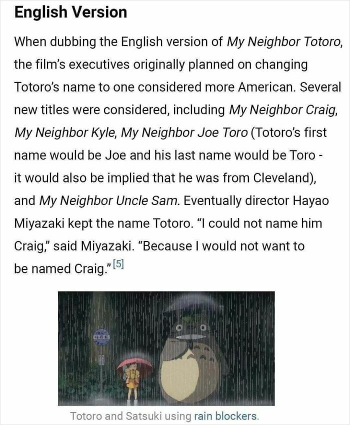 Text excerpt about the English version of My Neighbor Totoro, with an image of Totoro and Satsuki using umbrellas in the rain, relating to memes for broken sense of humor.