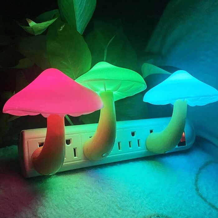 Glowing mushroom night lights plugged into a power strip, perfect genius dorm finds to help survive freshman year.