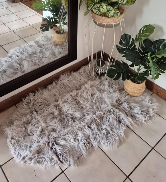 Cozy dorm area with a fluffy rug, large mirror, and potted plants, perfect for dorm finds to survive freshman year.