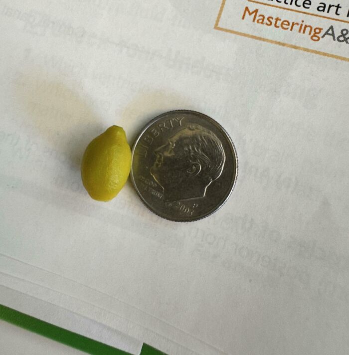 Tiny lemon next to a dime illustrating hilarious harvesting size comparison for unusual small fruit humor.