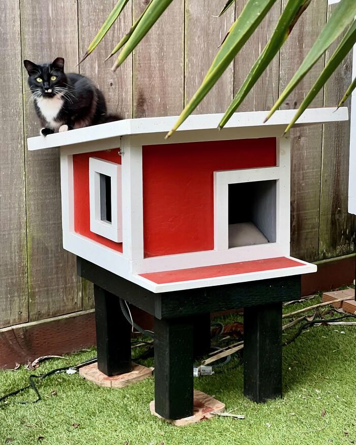 Tuxedo cat resting on top of a custom-built red and white cat house with black legs in a backyard setting. Tuxedo cat resting on top of a custom-built red and white cat house with black legs in a backyard setting.