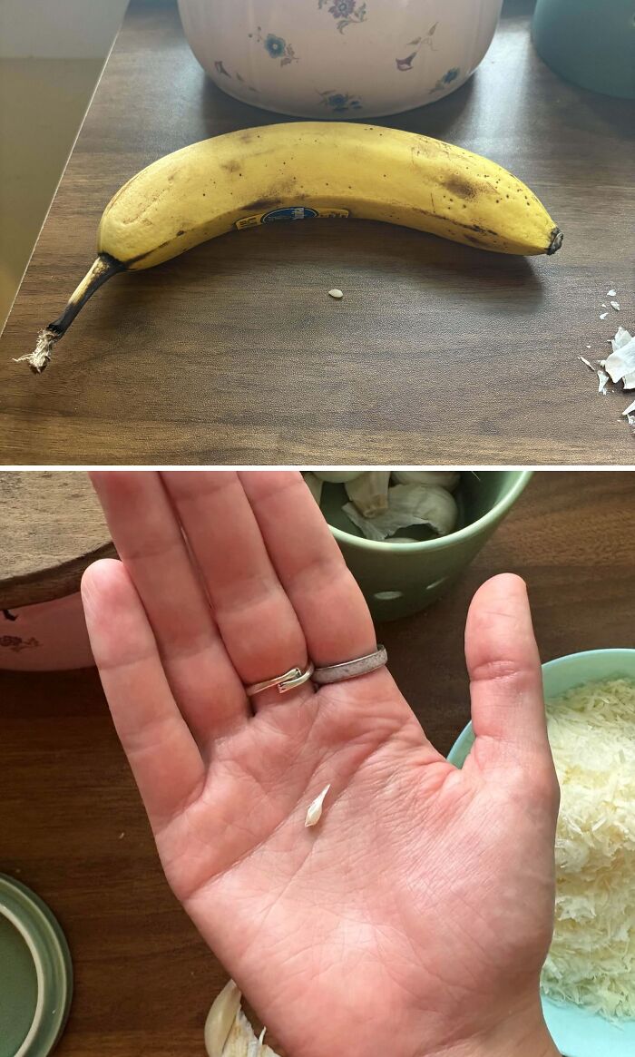 Small garlic clove in hand compared to a banana, highlighting size difference in hilarious harvesting pics.