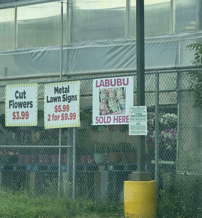 Signs advertising cut flowers and metal lawn signs reflect consumerism in a cluttered outdoor shop setting.