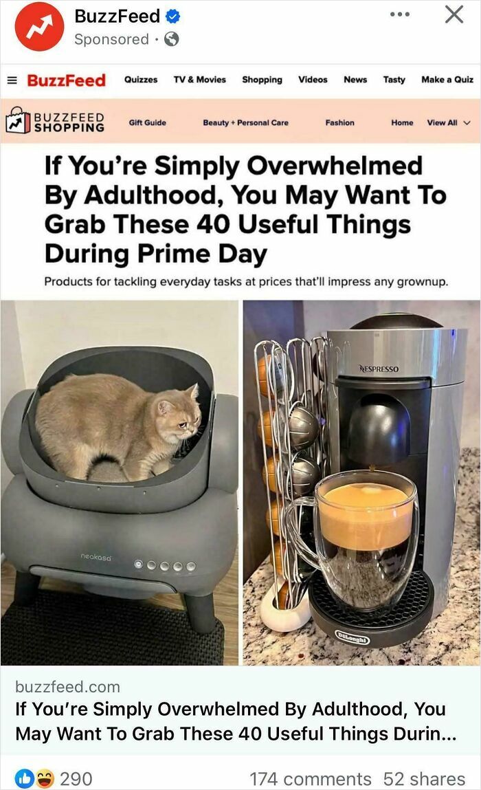 Cat inside a modern pet bed and a Nespresso coffee machine with capsules, illustrating consumerism and product variety.