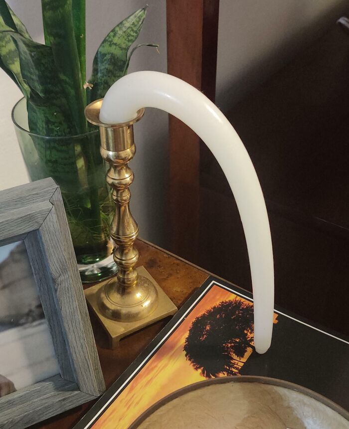 Vela deformada por calor extremo colocada en candelabro junto a planta y marco de foto en mesa de madera.