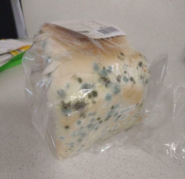 Moldy bread loaf in plastic bag illustrating the hot mess caused by this year's heatwaves worldwide.