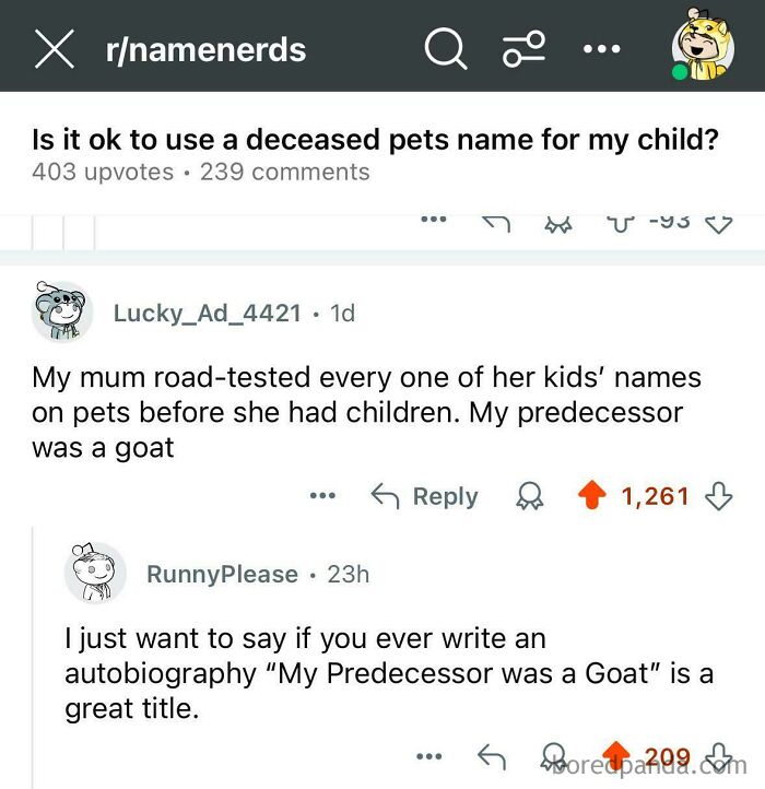 Reddit conversation about unusual pet names and a humorous sentence likely only they could have come up with.