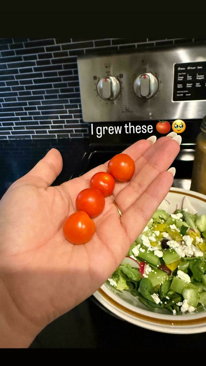 Small cherry tomatoes in a hand held above a kitchen counter with a fresh salad in the background.