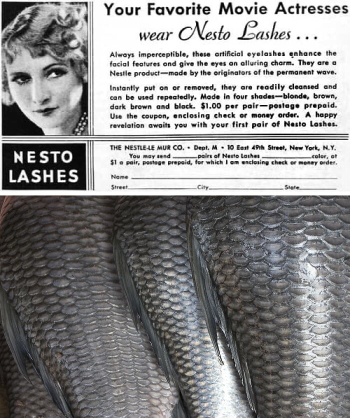 Vintage beauty gadget ad for false eyelashes from the 1920s-1940s resembling unusual historical devices.