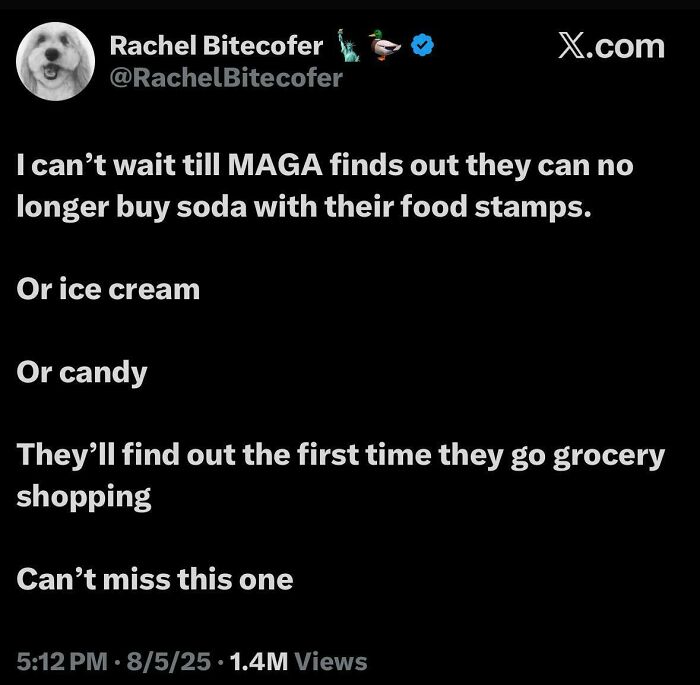 Tweet expressing courage with bold opinion on food stamp restrictions including soda, ice cream, and candy purchases.