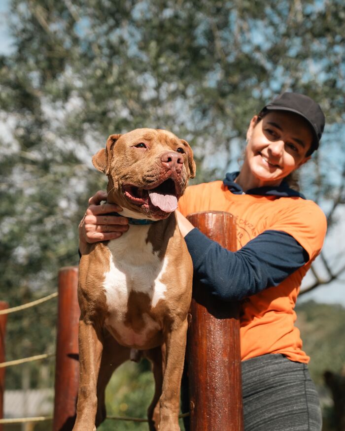 Happy shelter dog enjoying a walk outdoors with a volunteer on a sunny day, capturing pure joy during weekly walks.