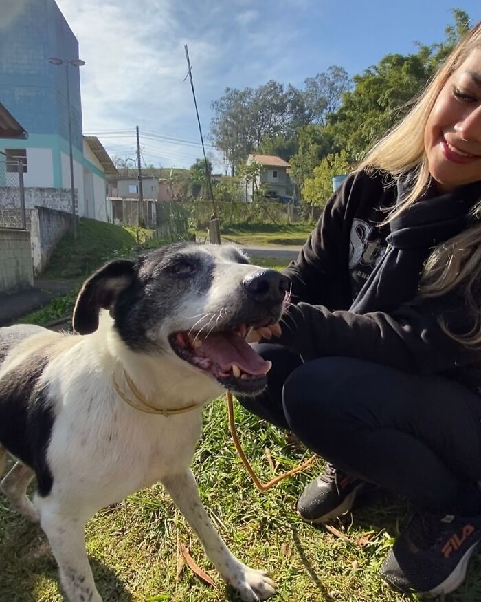 Happy shelter dog on a weekly walk with a smiling woman outdoors on a sunny day, enjoying pure joy and freedom.