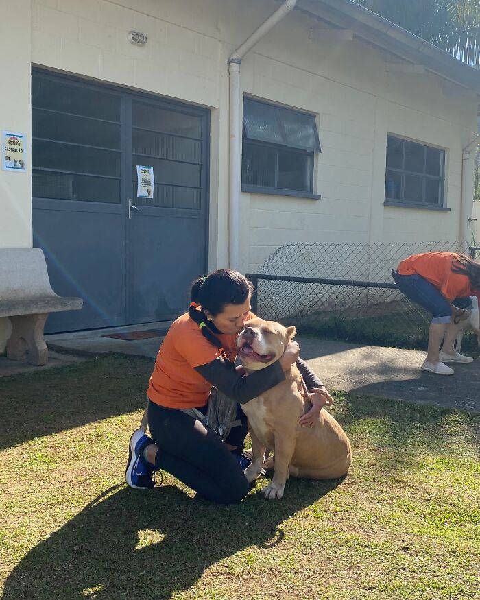 Volunteer hugging a happy shelter dog outside a shelter building, capturing pure joy during weekly walks.