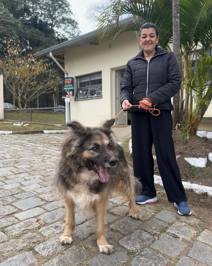 Woman walking a joyful shelter dog on a leash outside a building during a weekly walk on a cobblestone path.