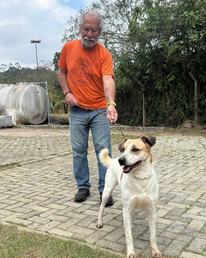 Man walking a happy shelter dog outdoors on a leash, capturing the pure joy of weekly walks with shelter dogs.