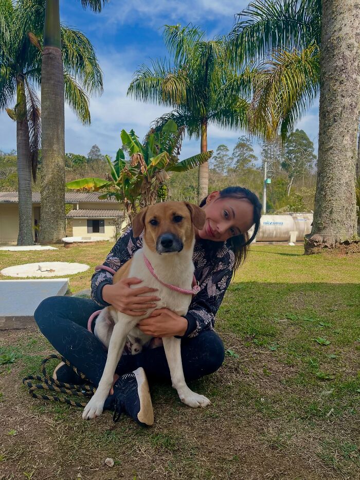 Woman sitting on grass hugging a shelter dog, capturing the pure joy of shelter dogs on their weekly walks outdoors.