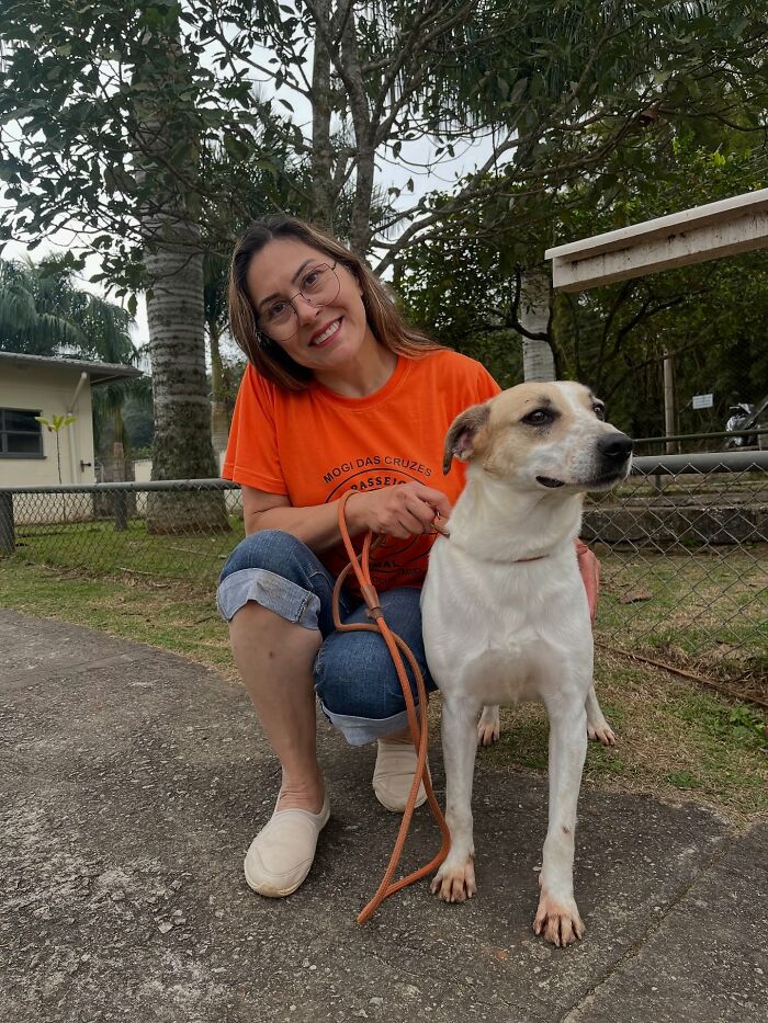 Woman smiling and holding leash of shelter dog enjoying their weekly walk outdoors with trees and fence in the background