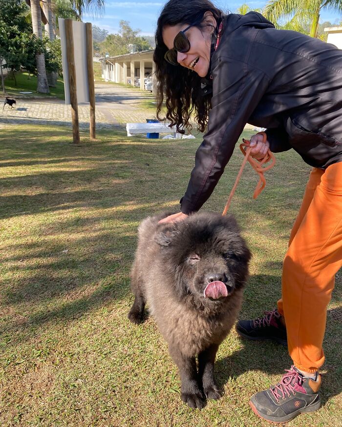 Woman petting a happy shelter dog on a leash during a joyful weekly walk outdoors on grass.