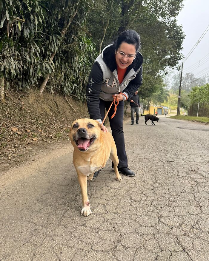 Woman smiling and walking a happy shelter dog on a c*****d path surrounded by trees during a joyful weekly walk.