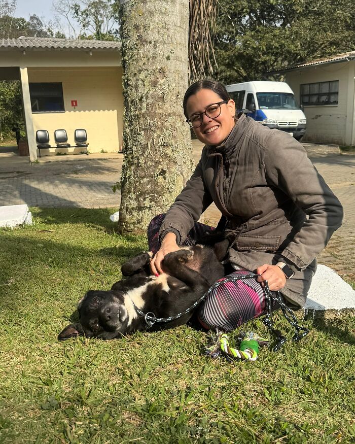 Woman sitting on grass petting a happy black shelter dog, capturing the joy of shelter dogs on their weekly walks.