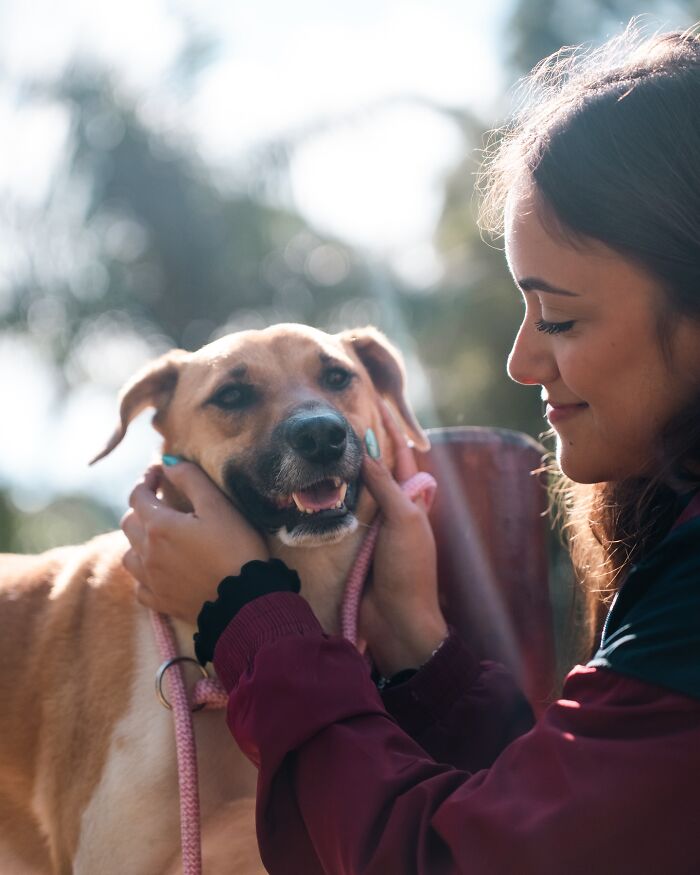 Happy shelter dog with leash enjoying a loving moment with a woman during their weekly walk outdoors.