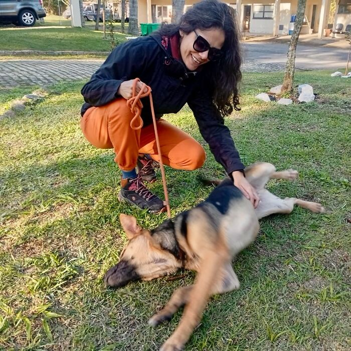 Woman with sunglasses petting a joyful shelter dog lying on grass during their weekly walk outdoors.