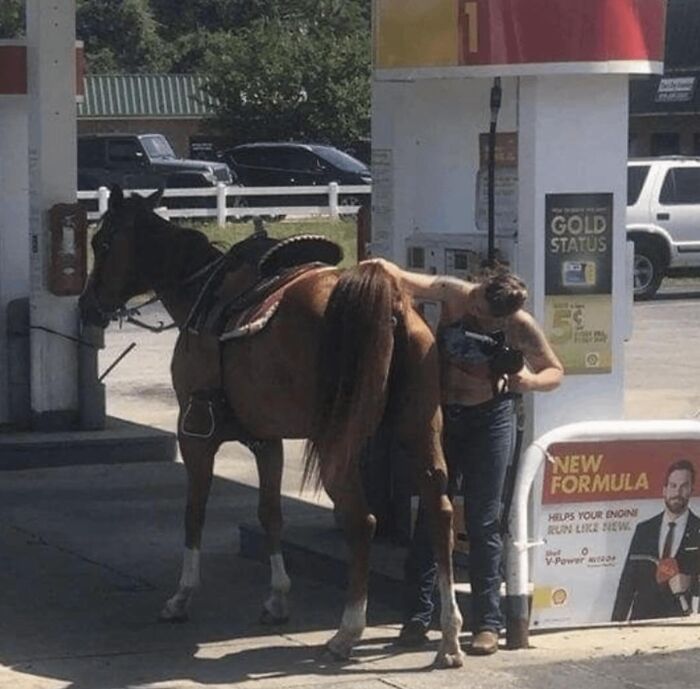 Woman at gas station humorously attempts to refuel a horse, creating a hilariously chaotic animal moment.
