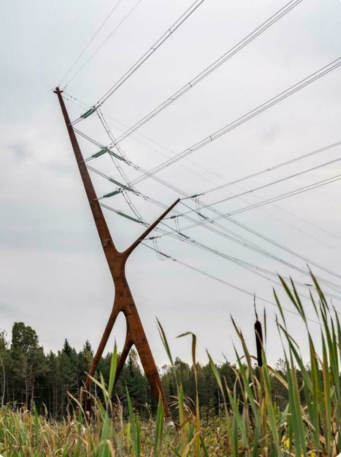 Innovative designer power line pole in nature blending smart design with functionality and environmental harmony.