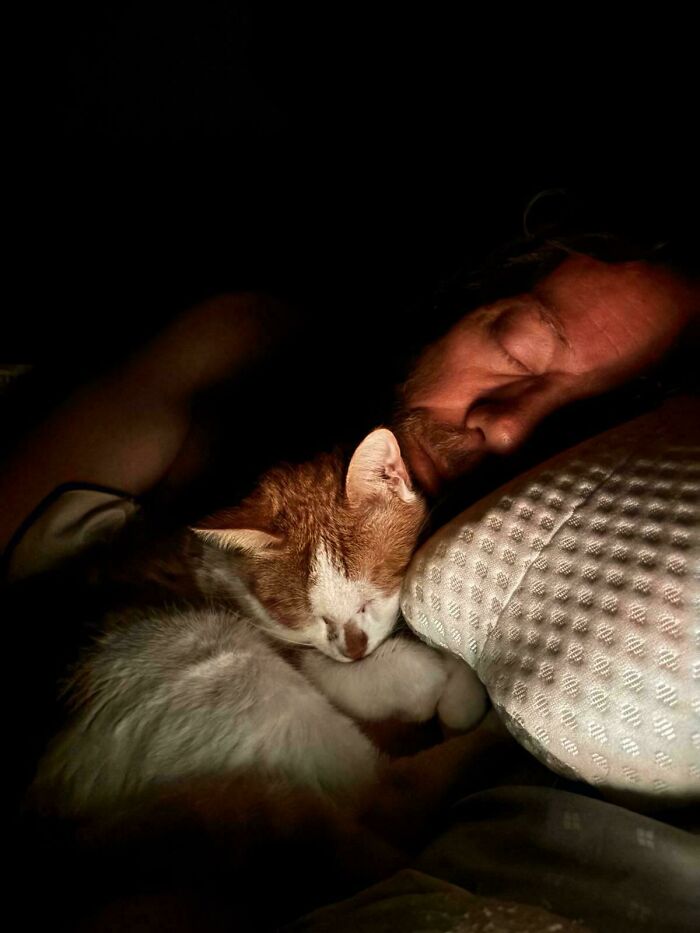 Man and cat sleeping closely together in dim light, resembling a Renaissance masterpiece captured in a picture.