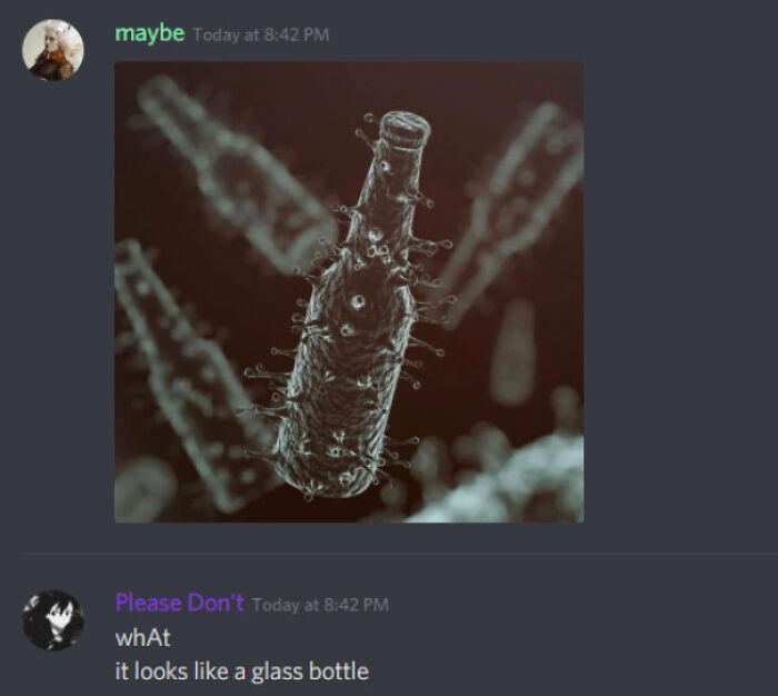 Close-up of a microscopic organism resembling a glass bottle, illustrating times people missed the joke humorously.