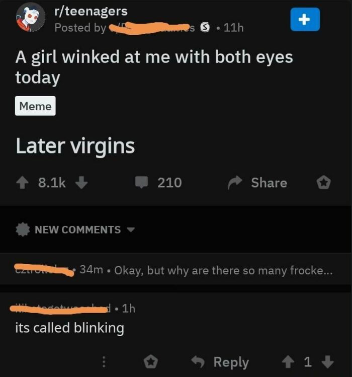 Reddit post with a joke about winking and comments showing people missed the joke embarrassingly.