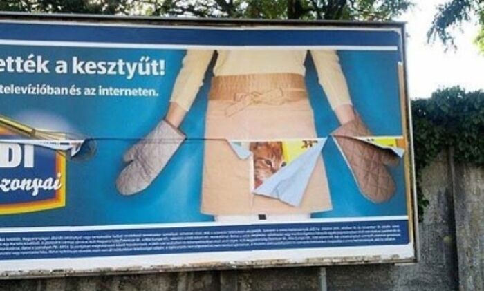 Billboard with a damaged advertisement showing an unattainable body and a cat peeking through torn paper, a funny advertising fail.
