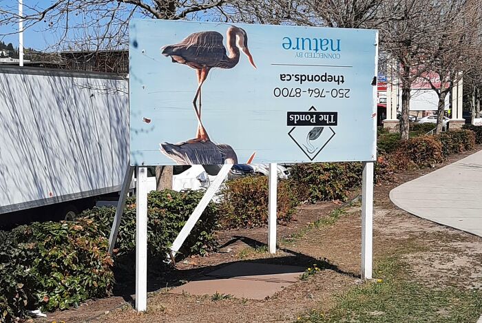 Upside down advertising sign with a bird and reflection, illustrating funny advertising fails and unattainable body portrayal.