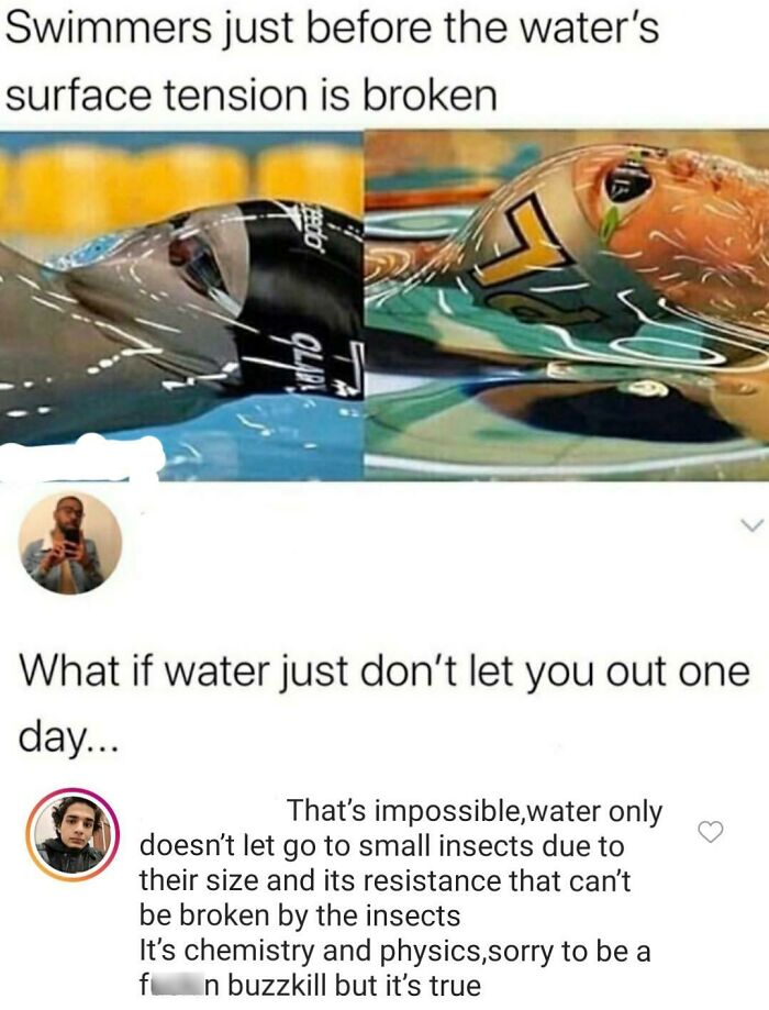 Swimmers breaking water's surface tension with a comment missing the joke, showing an embarrassing misunderstanding moment.