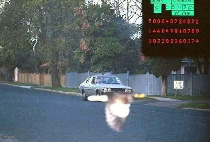 Blurred bird flying closely to camera with a parked vintage car in the background showing a rare coincidence moment