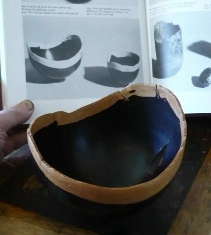 Hand holding a rare coincidence showing a broken bowl matching an image in a book, appearing to be photoshopped but not.