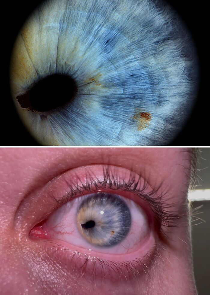 Detalle macro del ojo humano mostrando rasgos distintivos del cuerpo humano que hacen destacar a la gente.