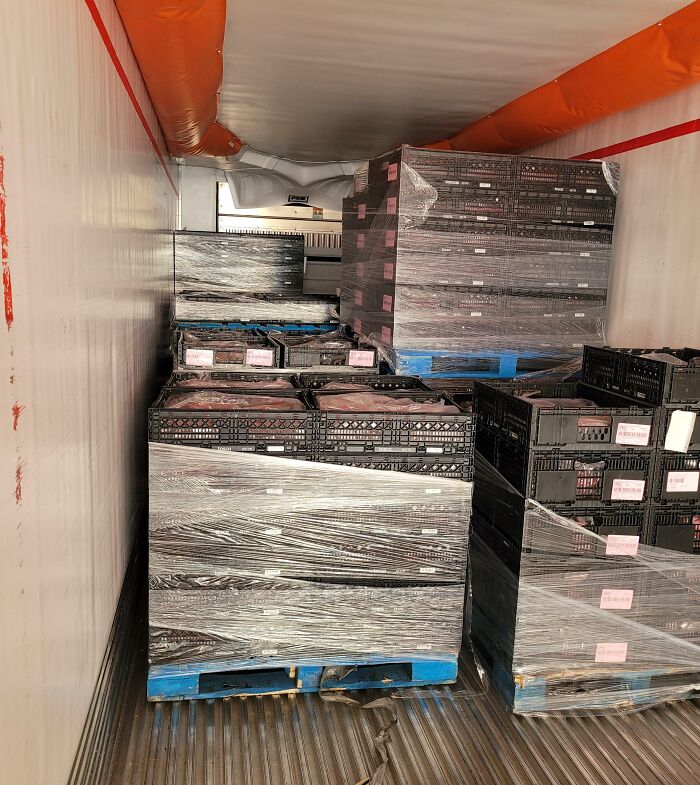 Pallets of wrapped goods stacked inside a refrigerated truck, raising questions about crossing the point of no return.