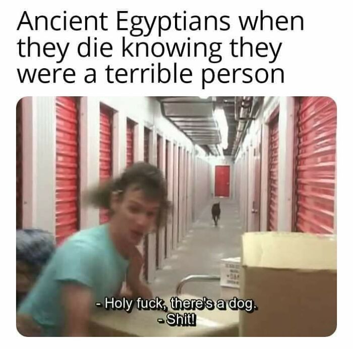 Man in a hallway reacting to a dog running toward him in a chaotic meme about ancient mythology reality TV.