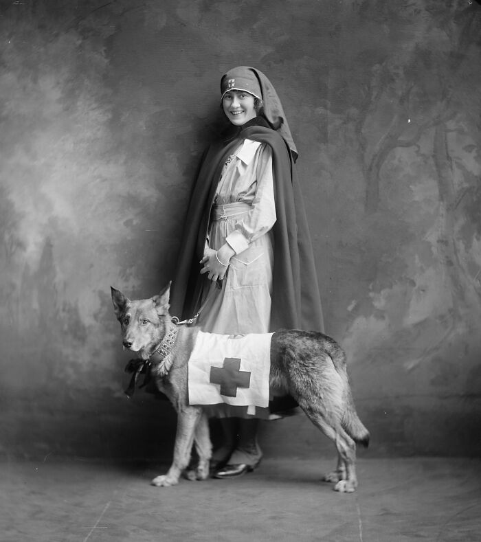 World War I nurse in uniform posing with a Red Cross dog, showing daily life beyond the WWI trenches.